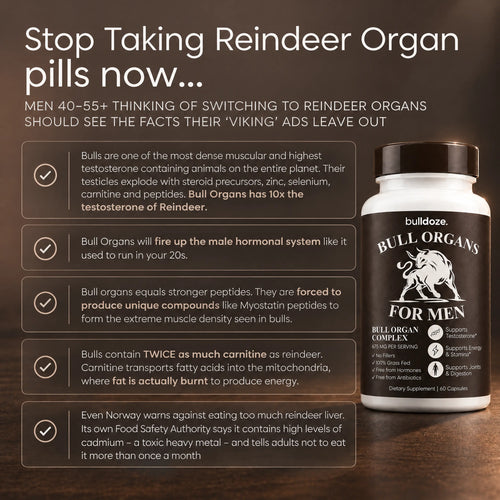 Bulldoze® Bull Organ Complex for Men