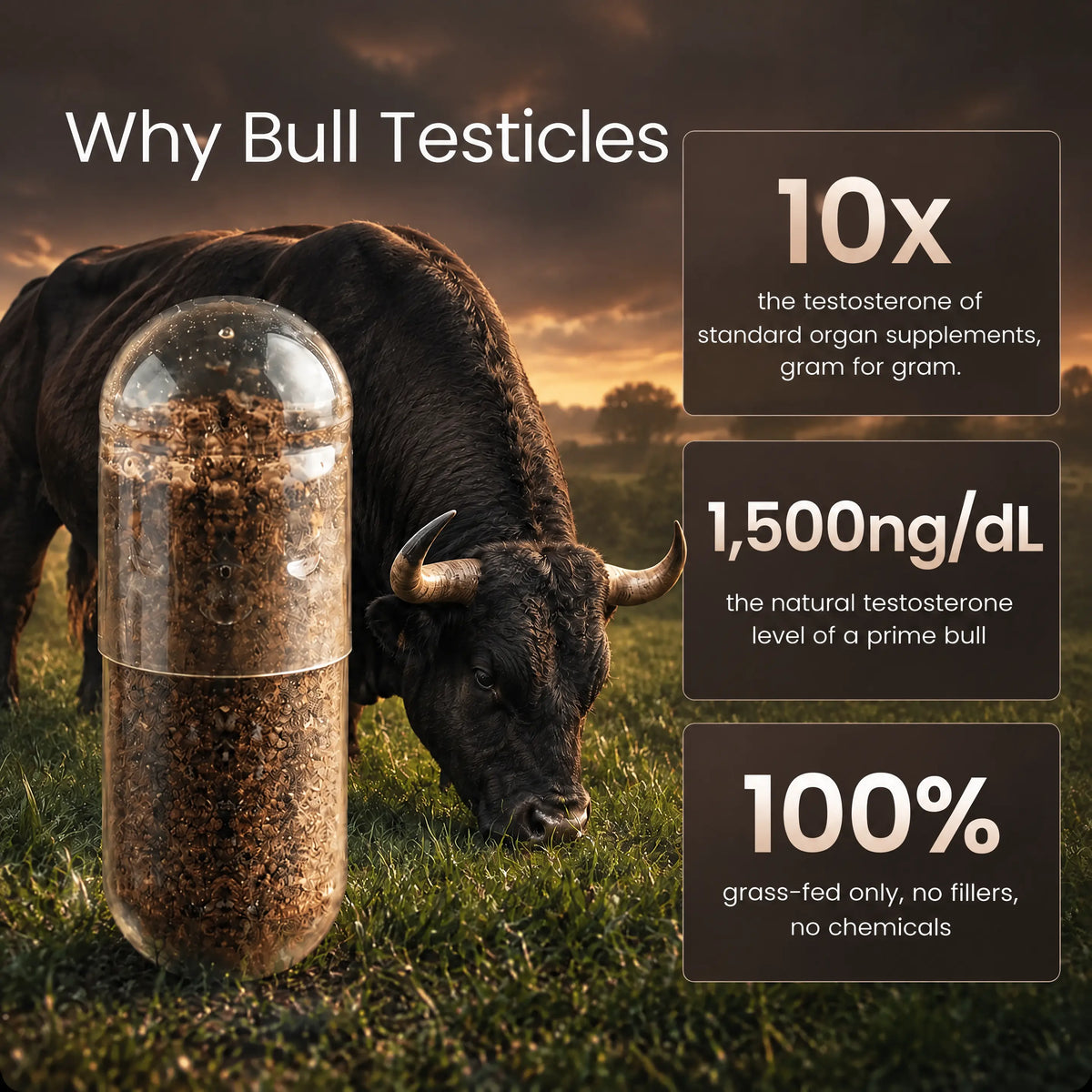 Bulldoze® Bull Organ Complex for Men