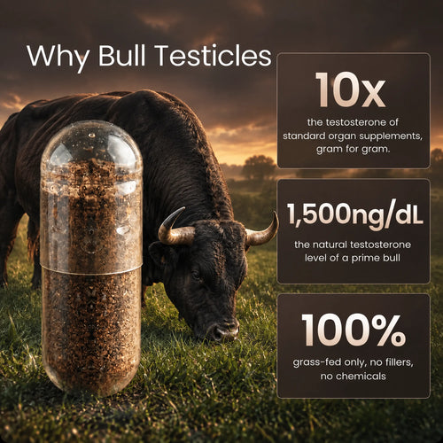 Bulldoze® Bull Organ Complex for Men
