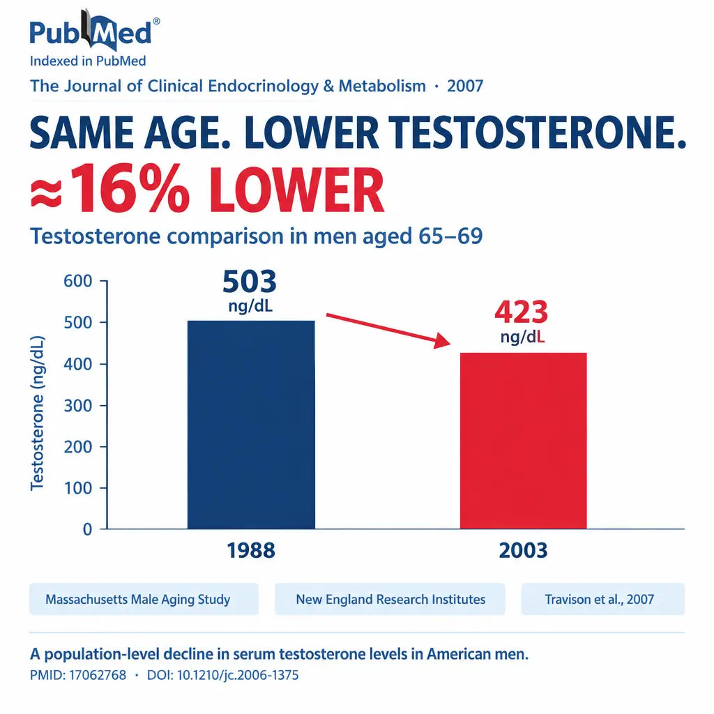 2. Your Testosterone Is Starving —
