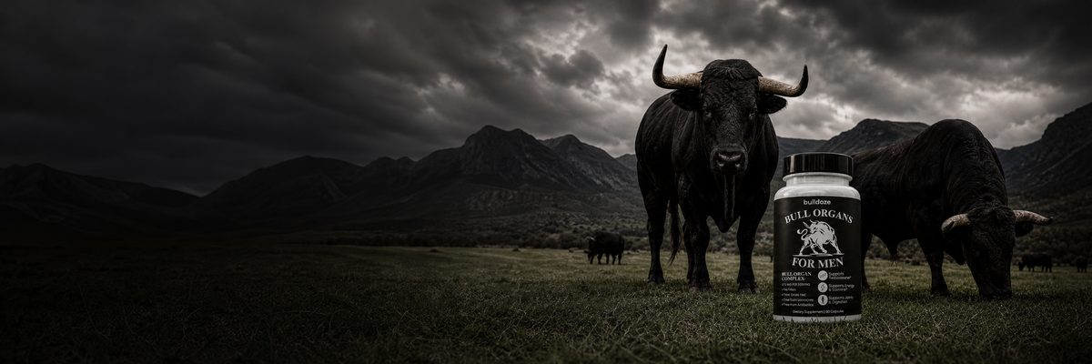 Bulldoze Bull Organ Complex with grass-fed bulls on open pasture